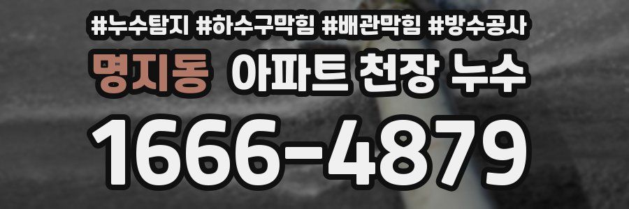 명지동 아파트 천장 누수