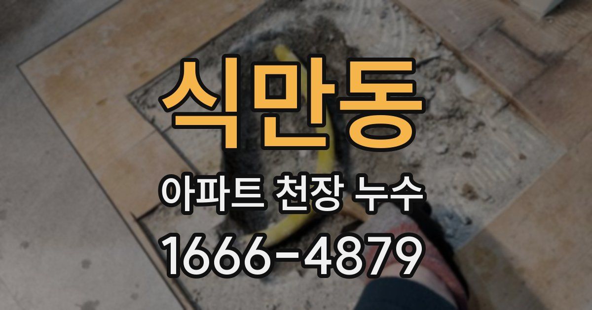식만동 아파트 천장 누수