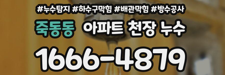 죽동동 아파트 천장 누수