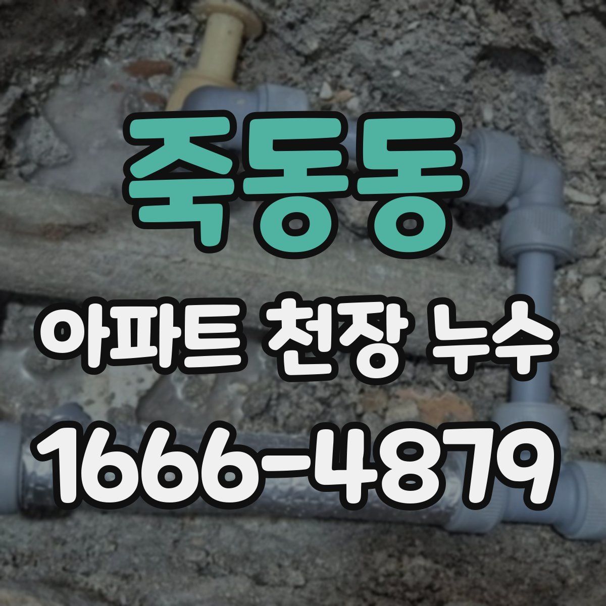 죽동동 아파트 천장 누수