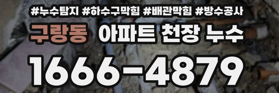 구랑동 아파트 천장 누수