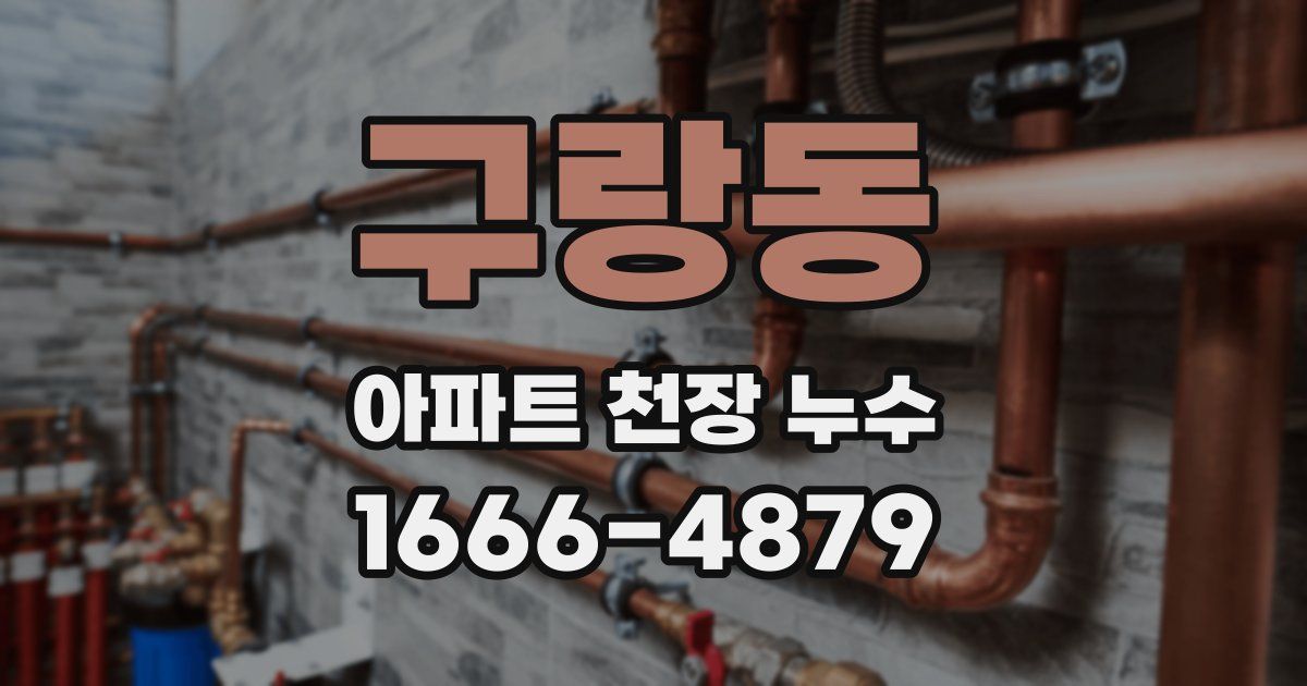 구랑동 아파트 천장 누수