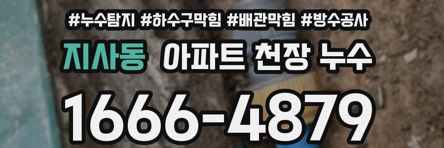 지사동 아파트 천장 누수
