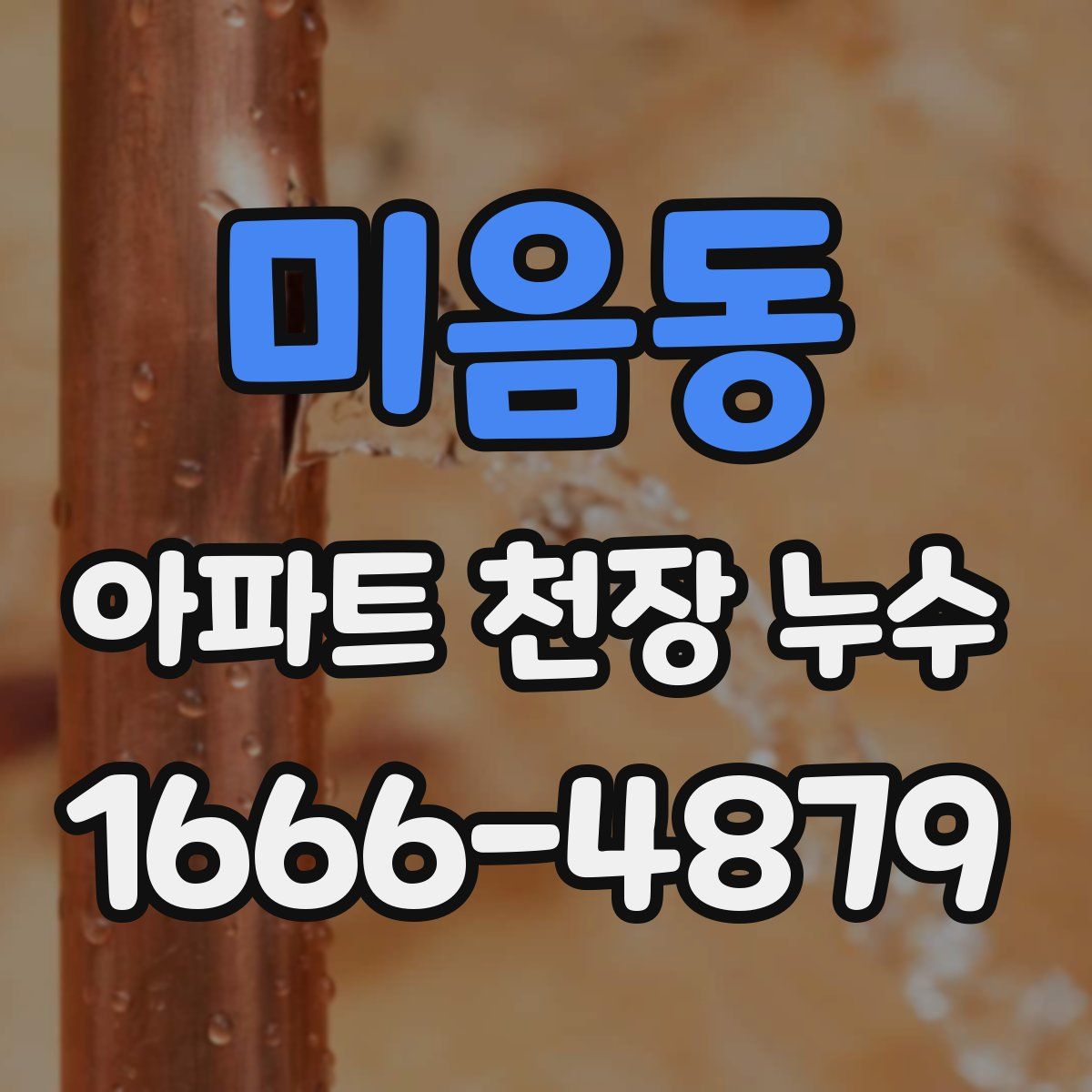 미음동 아파트 천장 누수