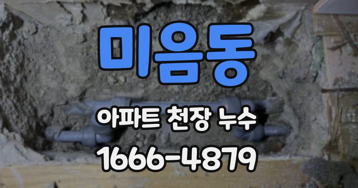 미음동 아파트 천장 누수