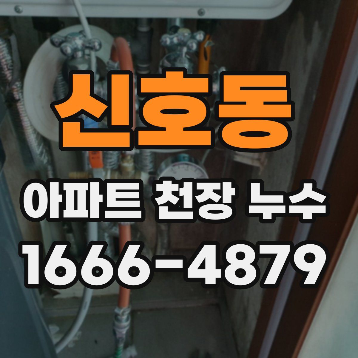 신호동 아파트 천장 누수