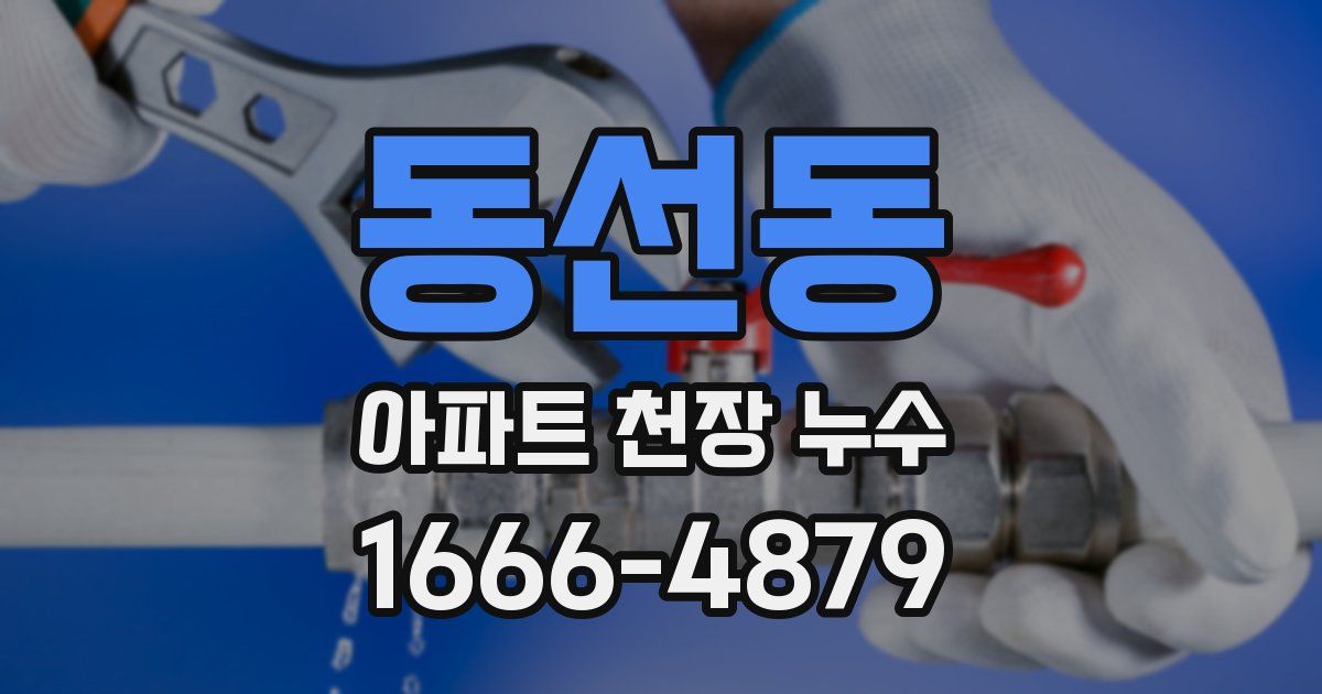 동선동 아파트 천장 누수