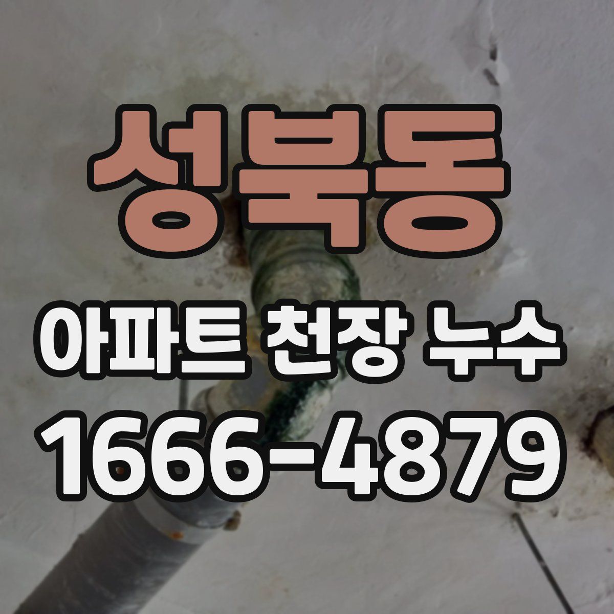 성북동 아파트 천장 누수