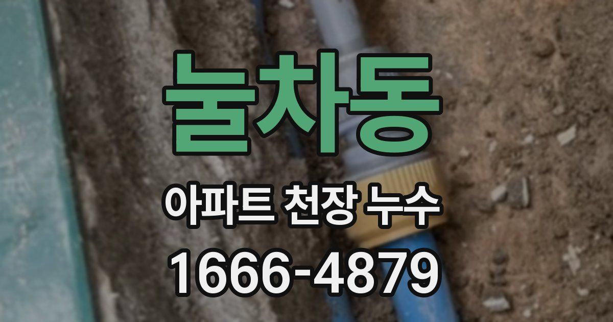 눌차동 아파트 천장 누수
