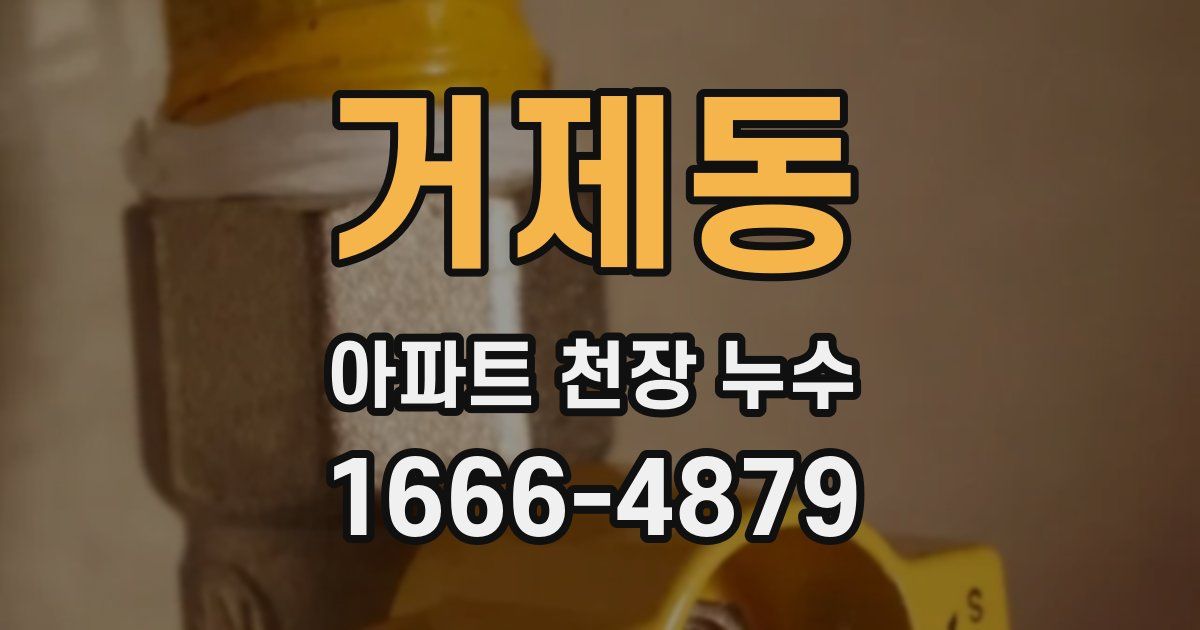 거제동 아파트 천장 누수