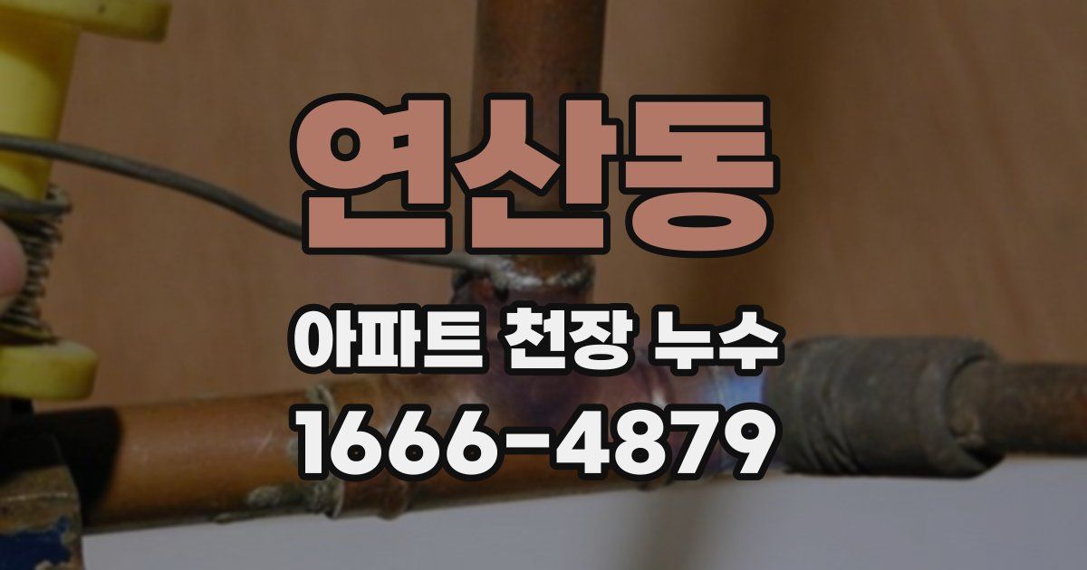 연산동 아파트 천장 누수