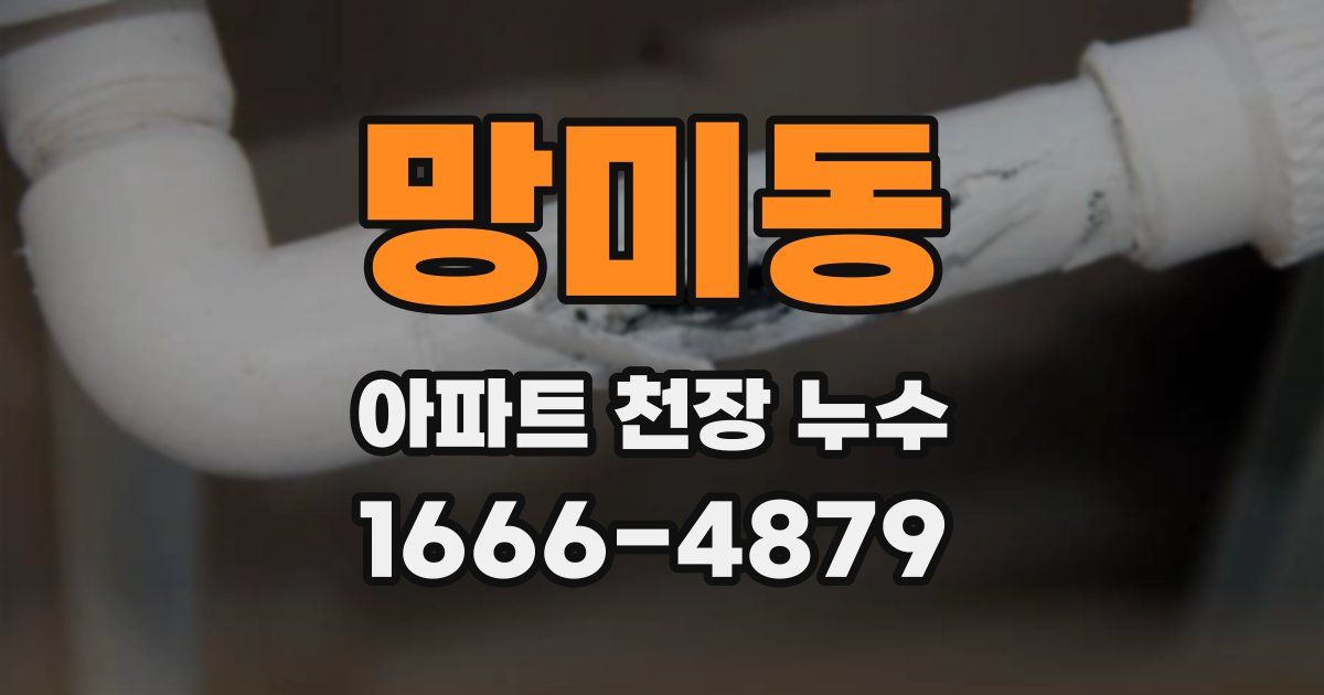 망미동 아파트 천장 누수