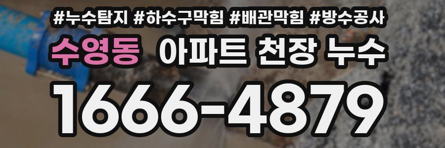 수영동 아파트 천장 누수
