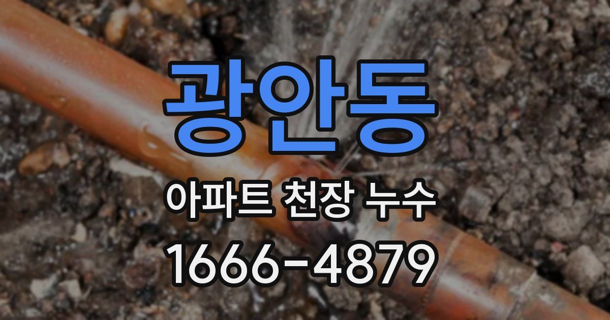 광안동 아파트 천장 누수