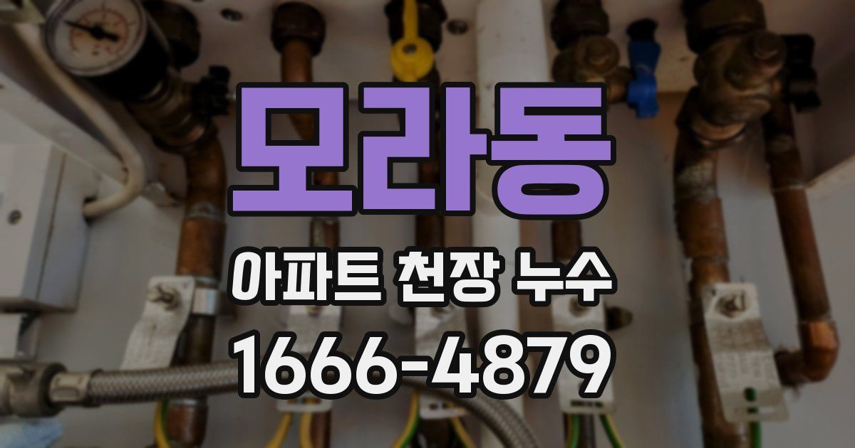 모라동 아파트 천장 누수