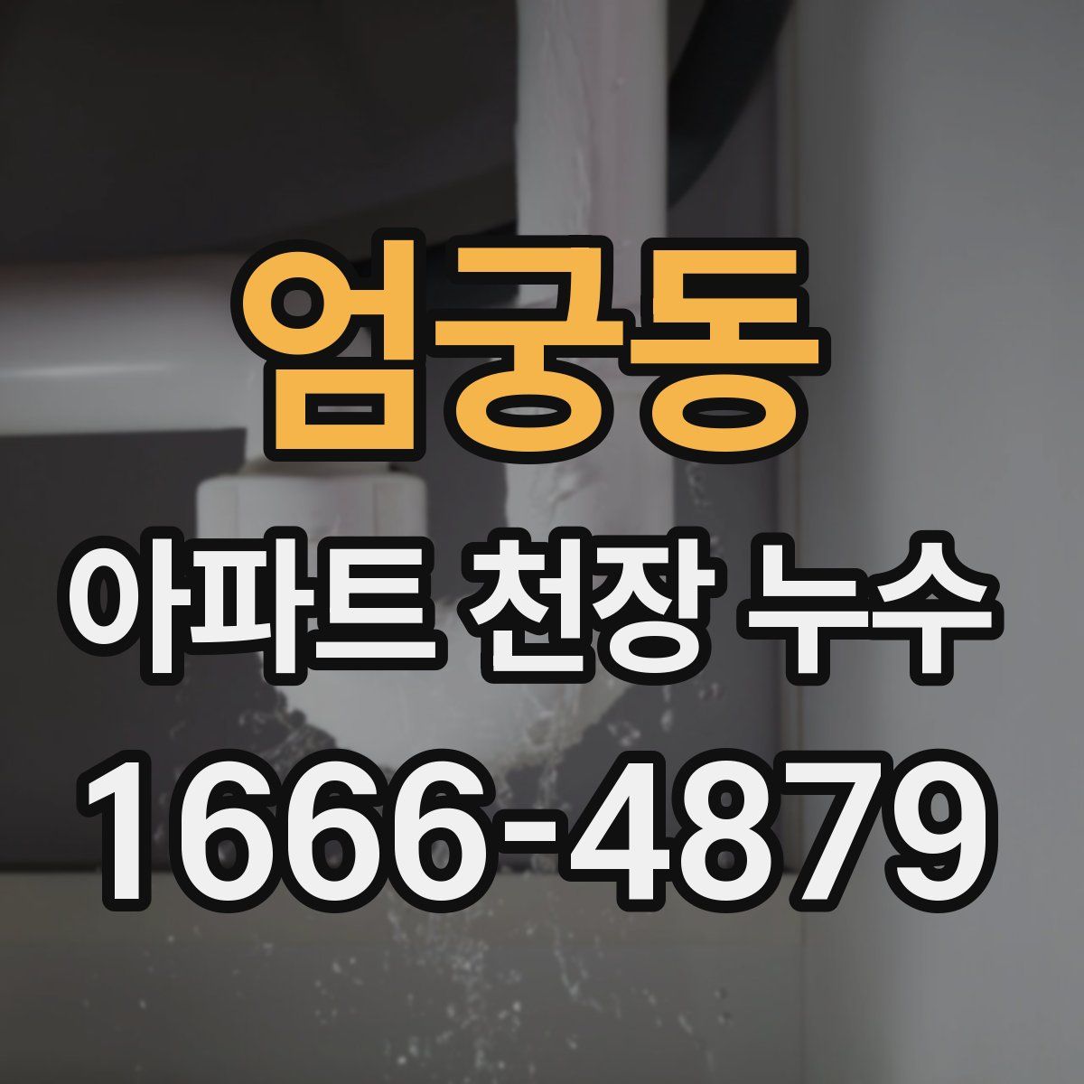 엄궁동 아파트 천장 누수