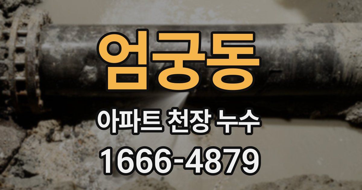 엄궁동 아파트 천장 누수