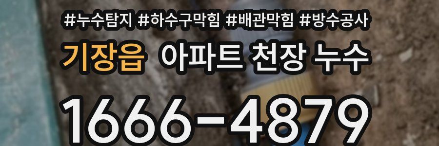 기장읍 아파트 천장 누수