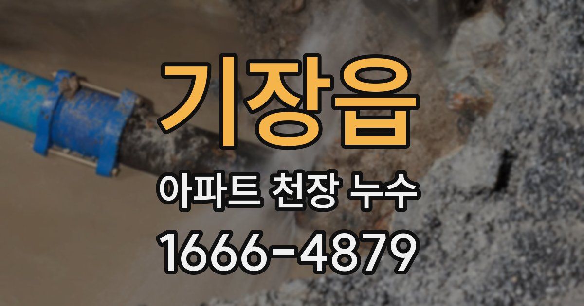 기장읍 아파트 천장 누수