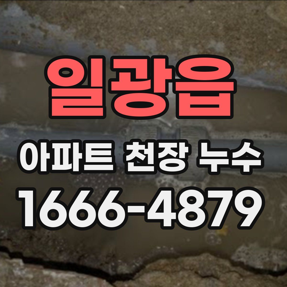 일광읍 아파트 천장 누수