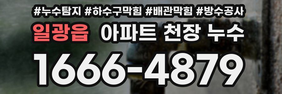 일광읍 아파트 천장 누수