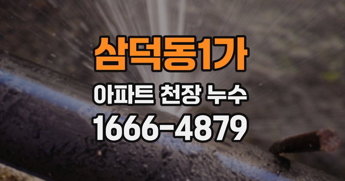 삼덕동1가 아파트 천장 누수