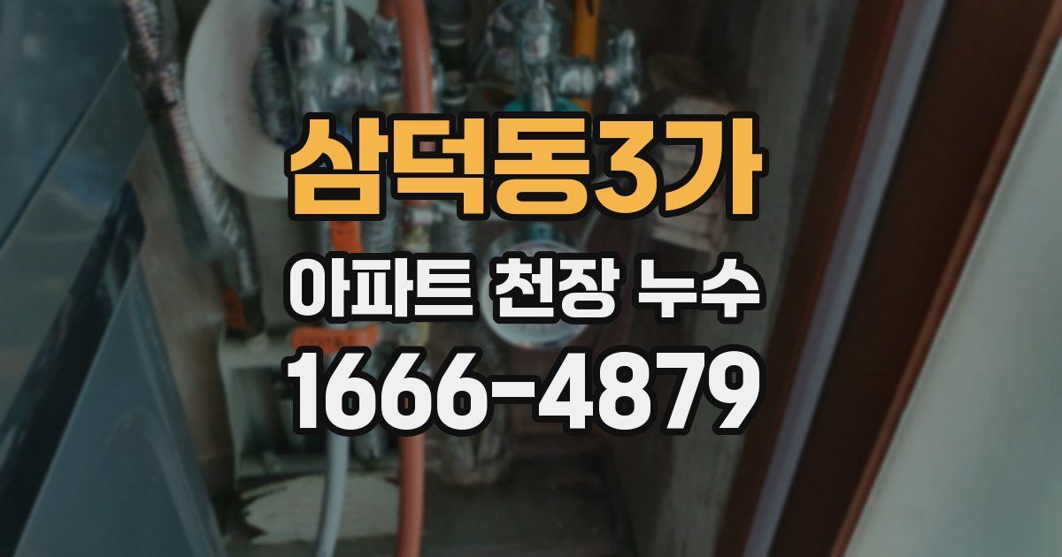 삼덕동3가 아파트 천장 누수