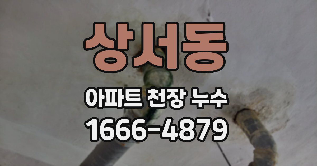 상서동 아파트 천장 누수