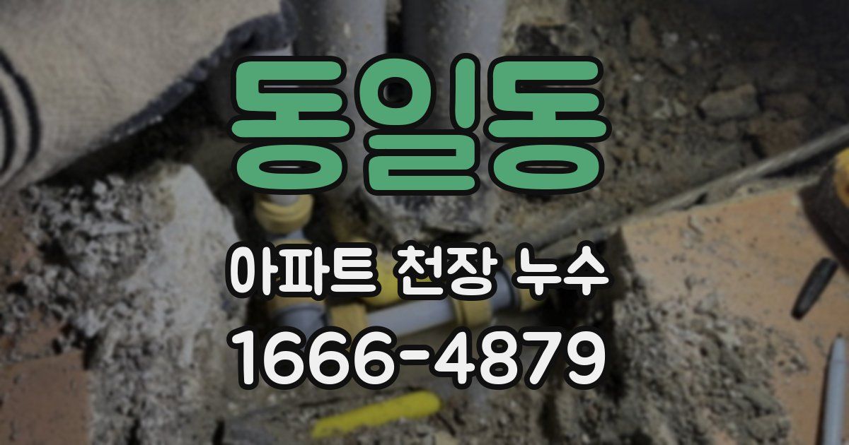 동일동 아파트 천장 누수