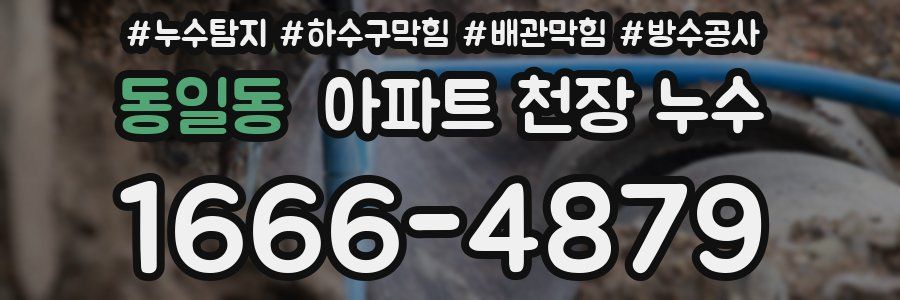 동일동 아파트 천장 누수