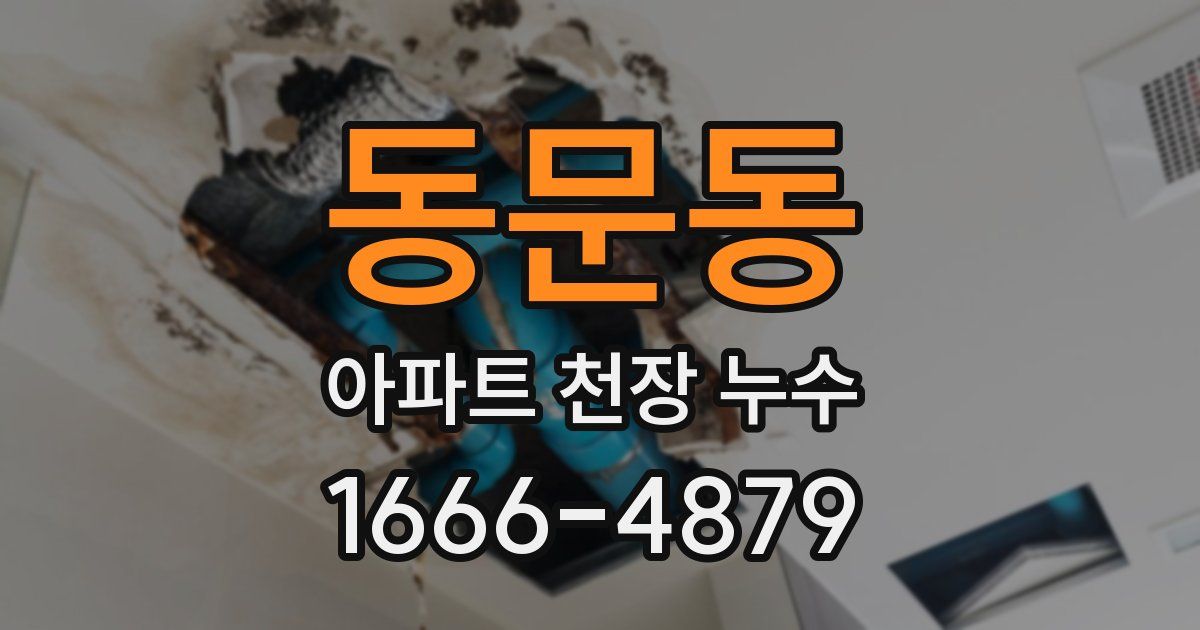 동문동 아파트 천장 누수