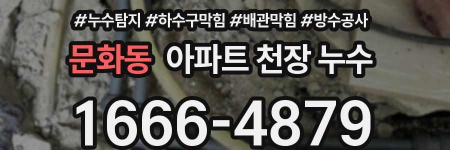 문화동 아파트 천장 누수
