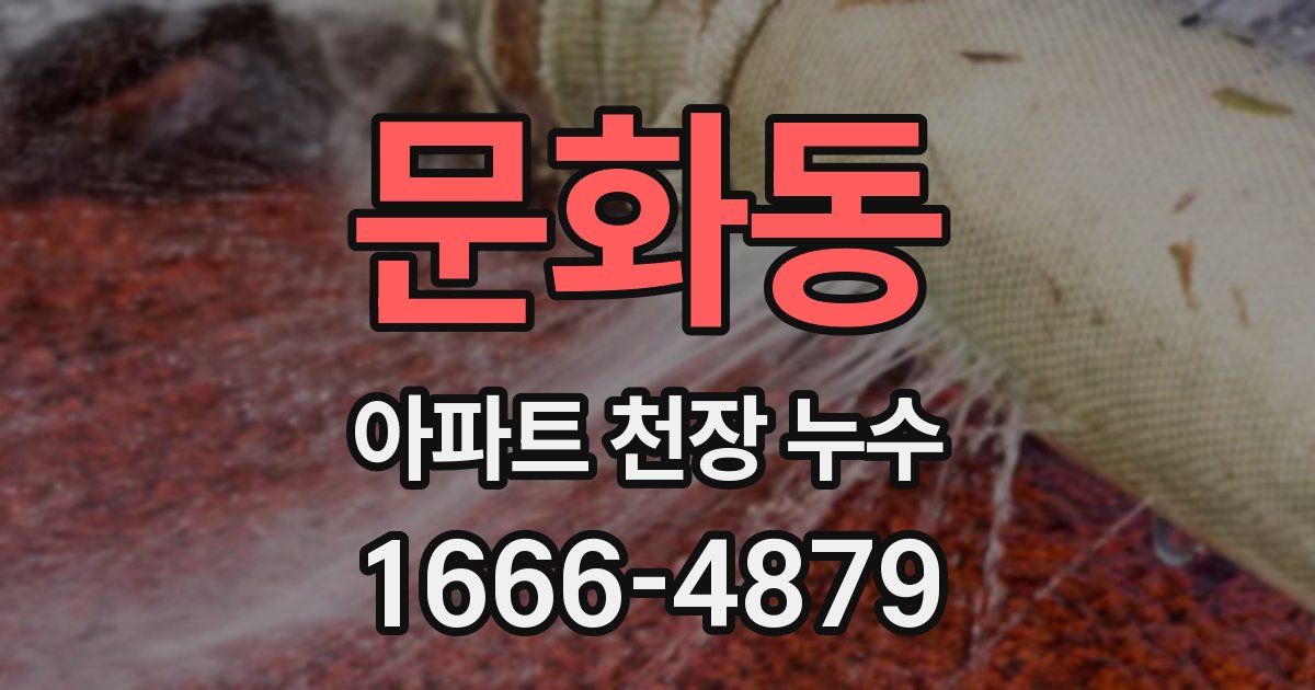 문화동 아파트 천장 누수