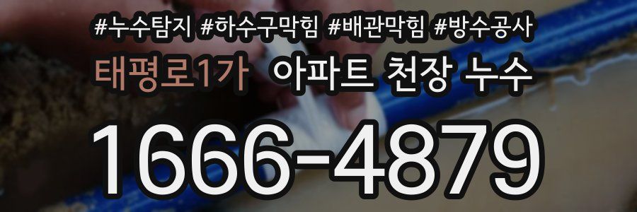 태평로1가 아파트 천장 누수
