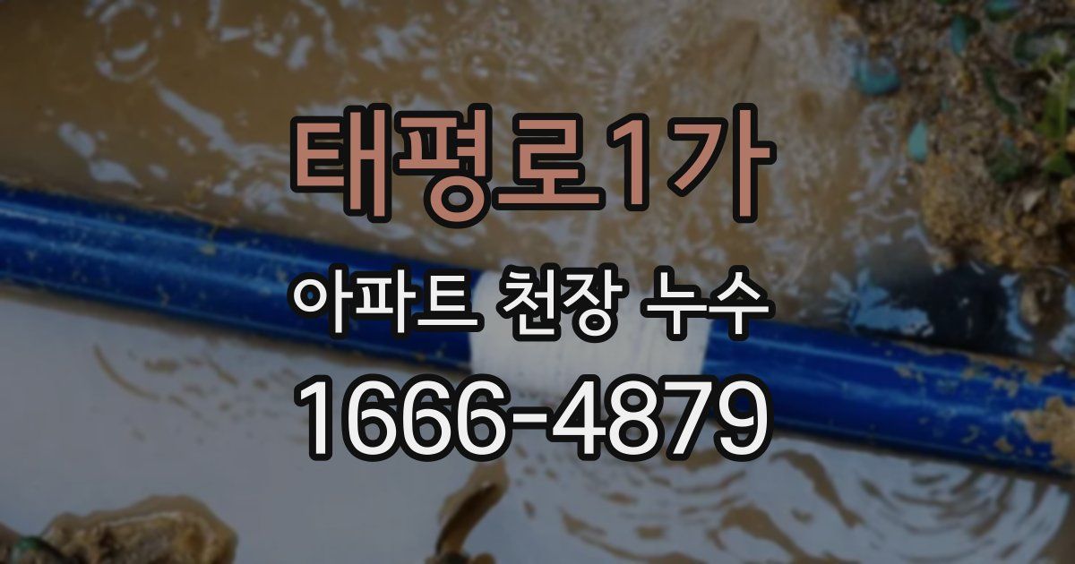 태평로1가 아파트 천장 누수