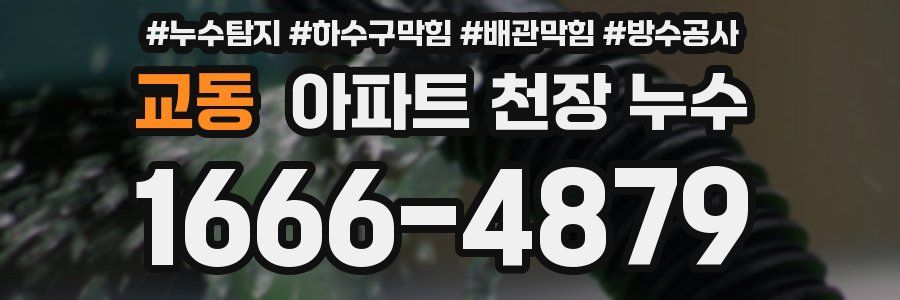 교동 아파트 천장 누수