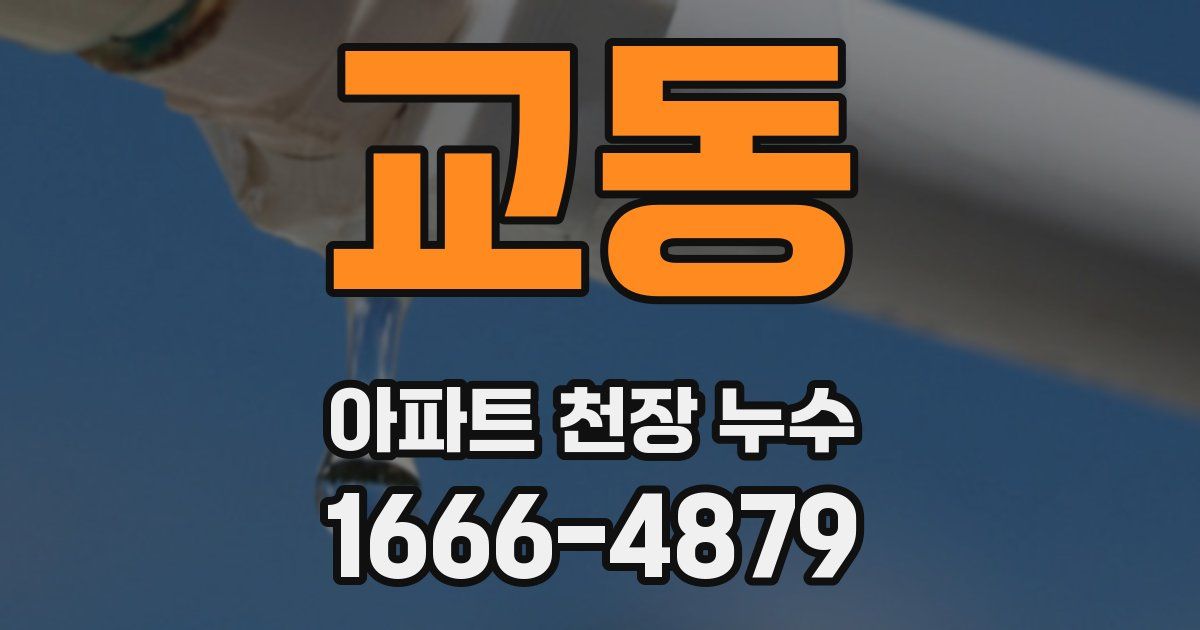 교동 아파트 천장 누수