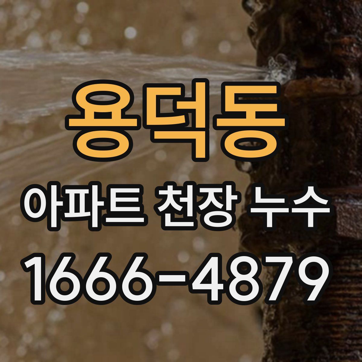 용덕동 아파트 천장 누수