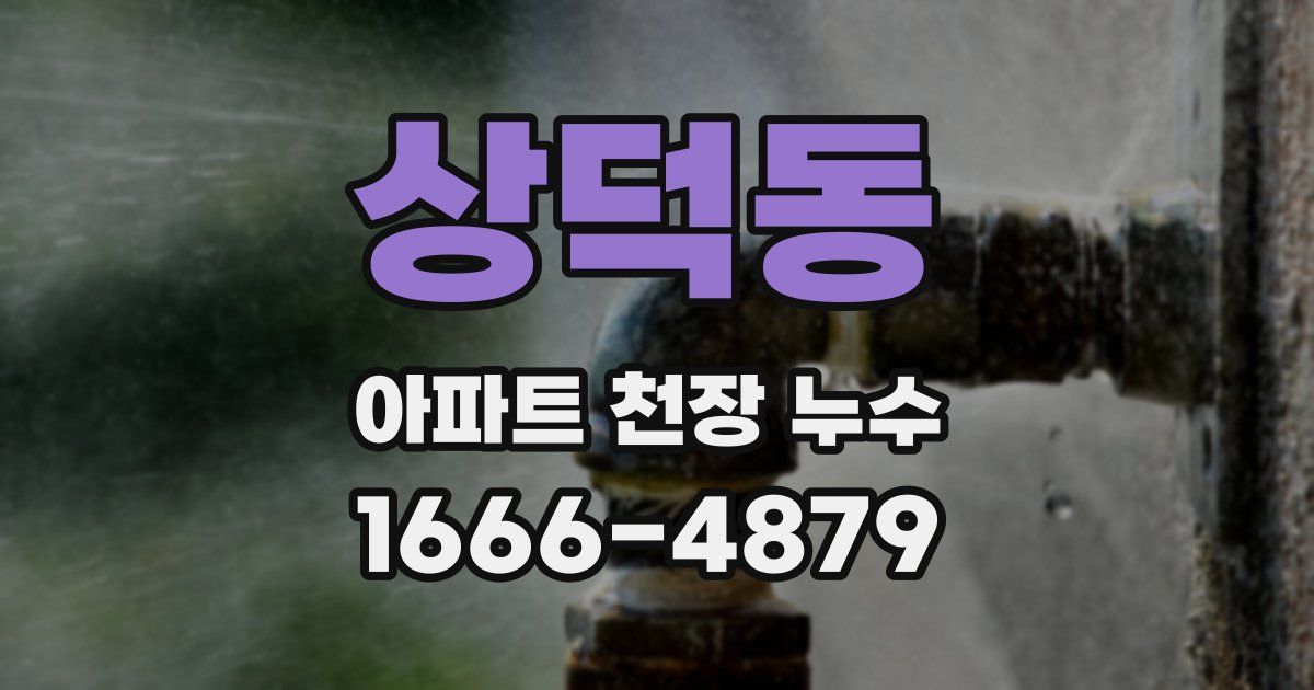 상덕동 아파트 천장 누수