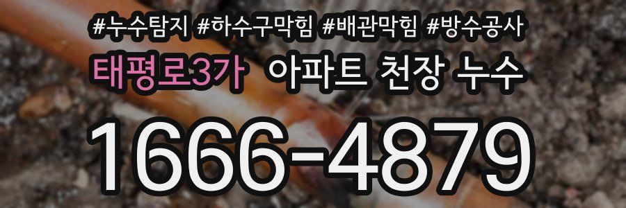 태평로3가 아파트 천장 누수