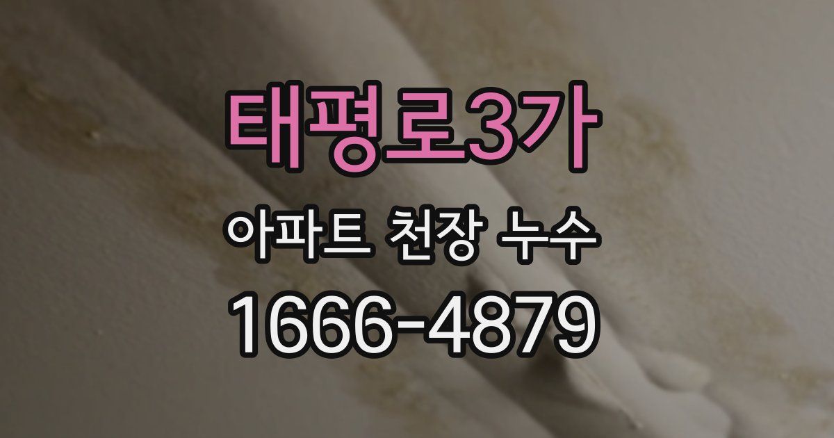 태평로3가 아파트 천장 누수