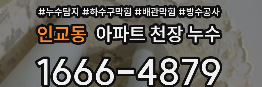 인교동 아파트 천장 누수