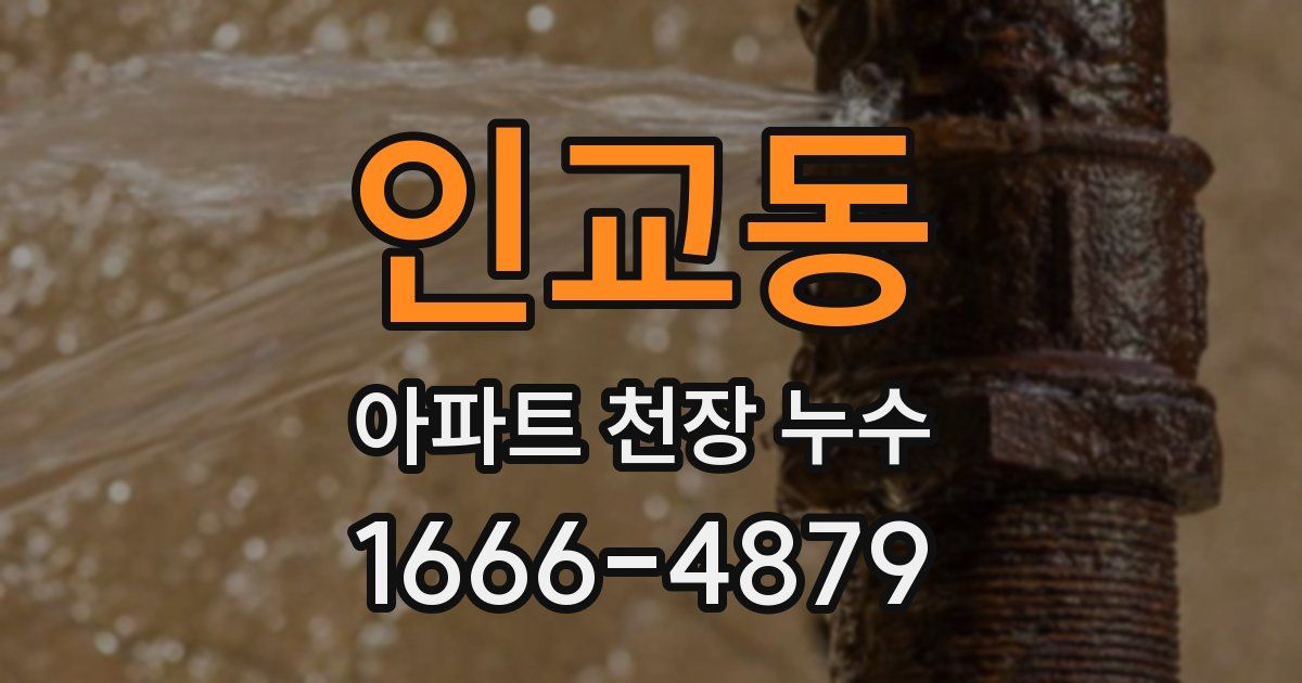 인교동 아파트 천장 누수