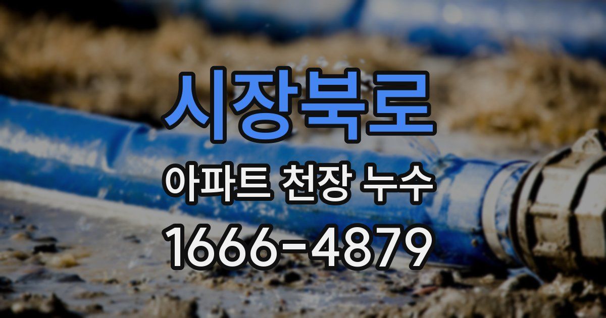 시장북로 아파트 천장 누수