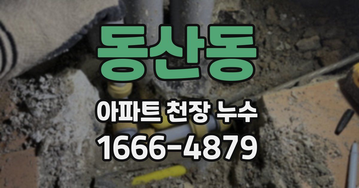 동산동 아파트 천장 누수