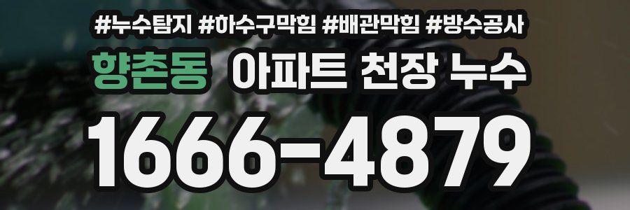 향촌동 아파트 천장 누수