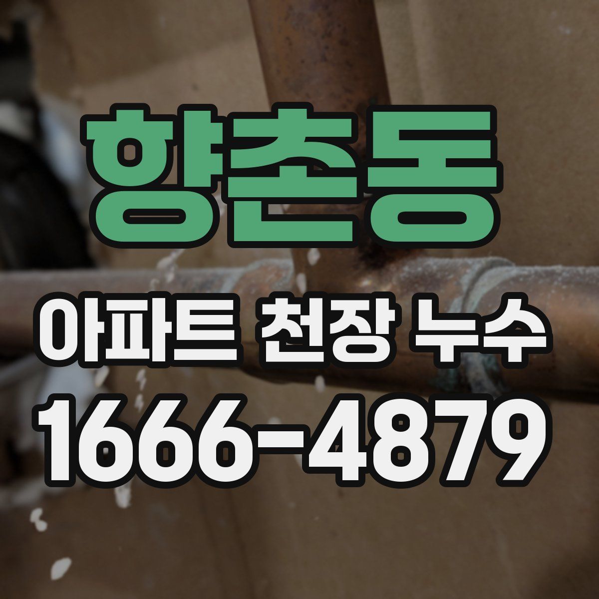향촌동 아파트 천장 누수