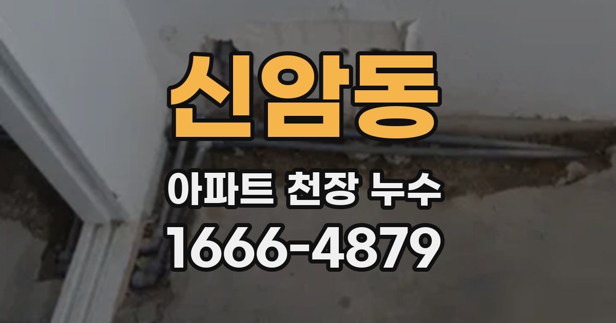 신암동 아파트 천장 누수