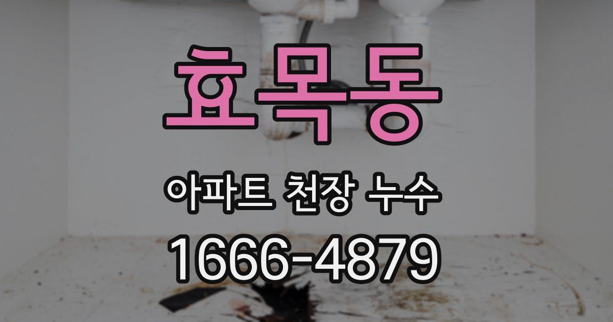 효목동 아파트 천장 누수