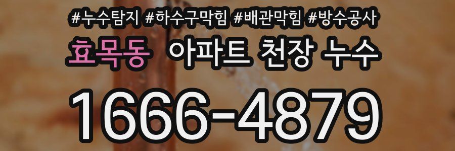 효목동 아파트 천장 누수